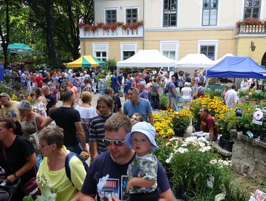 52. Lato Kwiatów już 2-6.07
