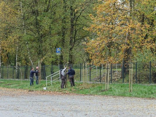 Agencja Rozwoju Nysy posadziła 34 drzewa przy kąpielisku