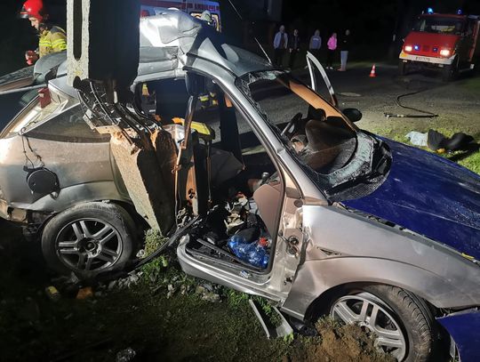 Auto uderzyło w słup energetyczny. Pasażer zakleszczony w pojeździe