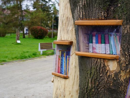 Biblioteka plenerowa już działa!