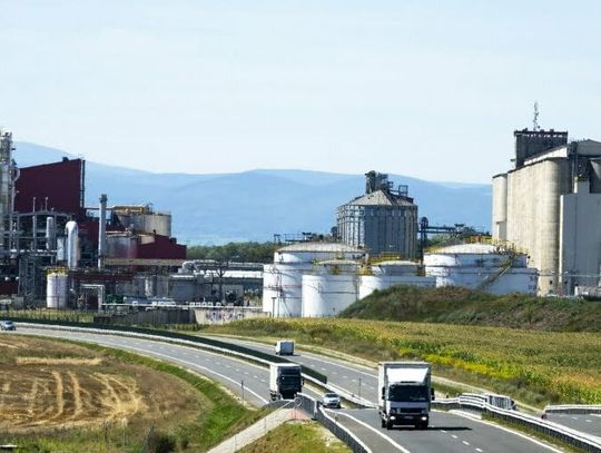 Celnicy w Bioagrze