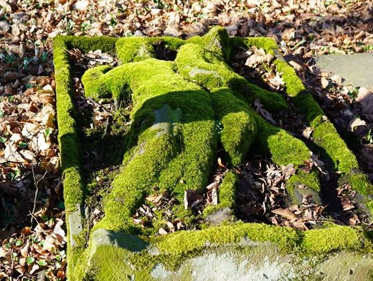 Cmentarz garnizonowy w Nysie - milczący świadek historii