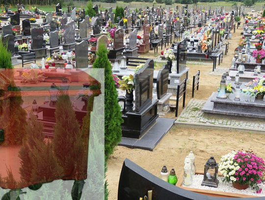 Czerwone pojemniki także na cmentarzach. To trzeba do nich wrzucać