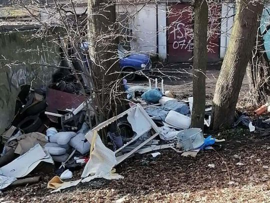 Dlaczego zaśmiecamy własne miasto? - pyta Czytelniczka