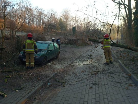 Drzewo spadło na samochód osobowy