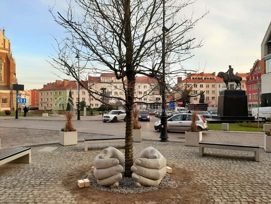 Drzewo w dłoniach już stoi w Rynku