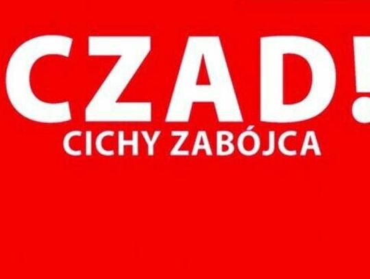 Dwie osoby zatruły się czadem