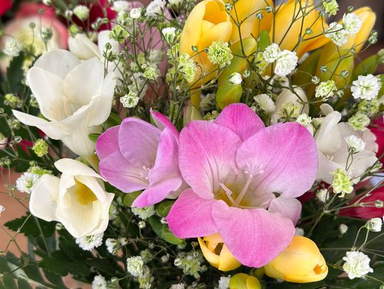 Dzień Kobiet 2026. Tyle wydamy na kwiaty i prezenty