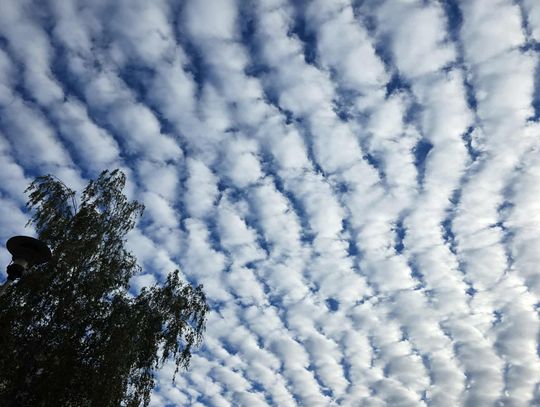 Fale na niebie nad Nysą – niezwykły widok chmur. Skąd to zjawisko?
