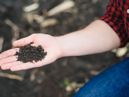 Fałszywe oferty na zakup opału ponownie w sieci - oszuści wykorzystują sezon zimowy Fałszywe oferty na zakup opału ponownie w sieci - oszuści wykorzystują sezon zimowy