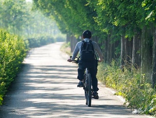 Jechał rowerem zygzakiem... Miał ponad 2,5 promila