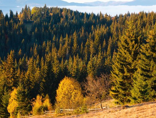 Kilka dni wolnego? Sprawdzamy pogranicze polsko-czeskie