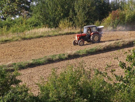 Kobieta straciła palec w czasie prac polowych