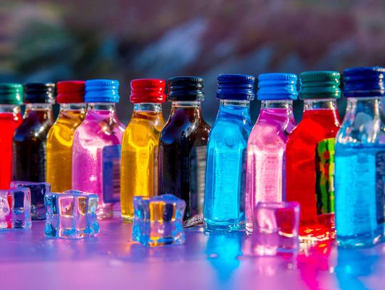 Małpki zalewają Polskę. Wyjściem byłoby objęcie ich kaucją