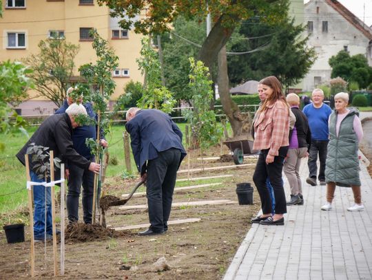 Nowe drzewa w Goworowicach – wspólna inicjatywa mieszkańców i samorządowców