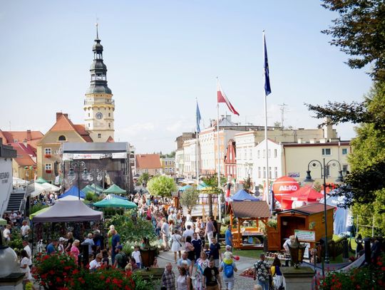 Nowość na Lecie Kwiatów. Będzie wystawa roślin egzotycznych