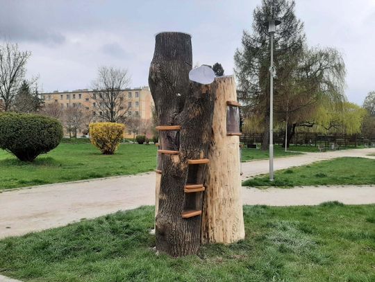 NOWOŚĆ na Placu Paderewskiego