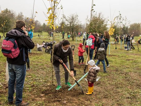 Nysa chce stworzyć "park małych nysan". Wzorem Kraków