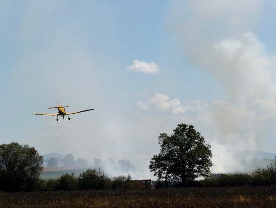 Ogromny pożar pól uprawnych w Powiecie Nyskim