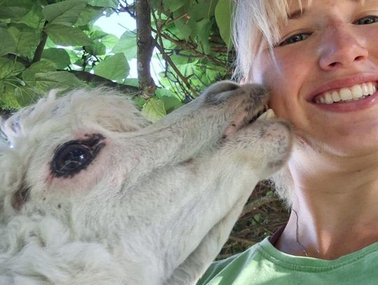 Opolskie zoo czeka zmiana Opolskie zoo czeka zmiana