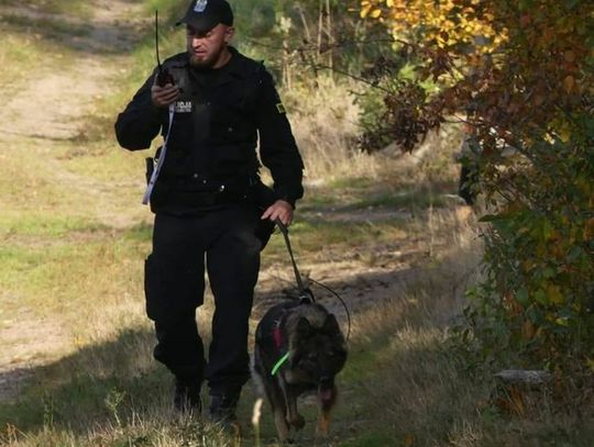 Pies trafił na trop zaginionego