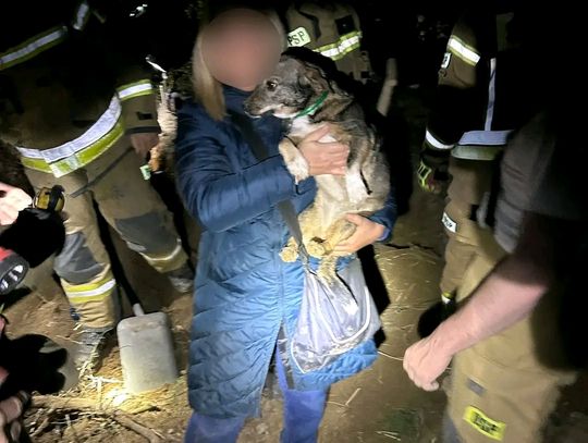 Pies uwięziony pod ziemią. Strażacy ruszyli na pomoc Pies uwięziony pod ziemią. Strażacy ruszyli na pomoc