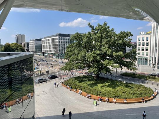 Polacy nie chcą już mieszkać w centrach miast. O takich miejscach marzymy najbardziej