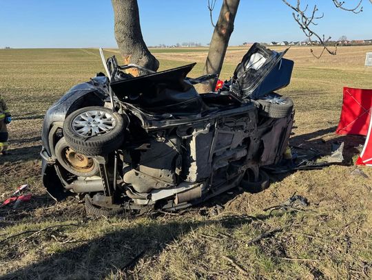 Policja o przyczynach tragicznego wypadku na trasie Jędrzychów-Goświnowice