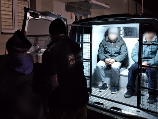 Powiat nyski: Nielegalna praca zakończona deportacją pięciu obywateli Peru Powiat nyski: Nielegalna praca zakończona deportacją pięciu obywateli Peru