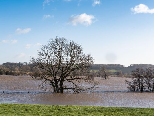 Prudnik przed trudną decyzją: Wody Polskie chcą wykupić cztery kamienice. 28 rodzin czeka na nowe domy Prudnik przed trudną decyzją: Wody Polskie chcą wykupić cztery kamienice. 28 rodzin czeka na nowe domy