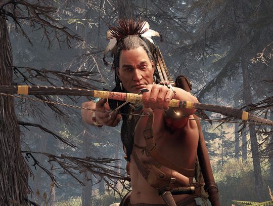 Recenzja „This Land Is My Land”