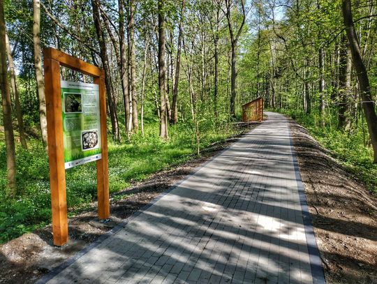 Rewitalizacja parków miejskich w Otmuchowie dobiega końca