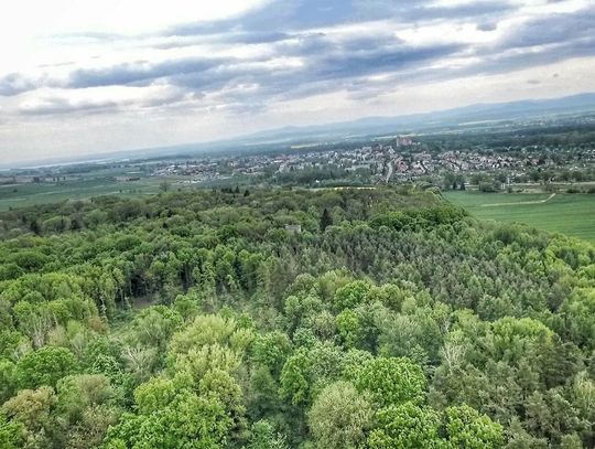 Rozpoczęła się rewitalizacja parków miejskich w Otmuchowie