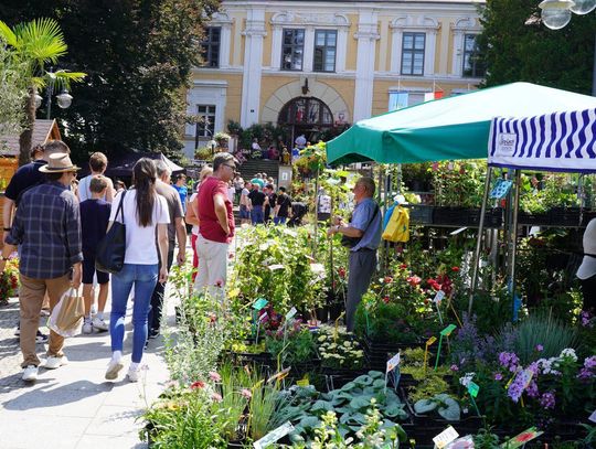Rusza największa impreza florystyczna w południowej Polsce! Lato Kwiatów już od piątku w Otmuchowie!
