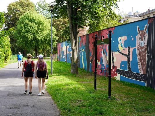 Są ronda Kaczyńskiego i Witosa, teraz nowe nazwy mają także kolejny skwer i miejski park