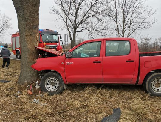 Samochód osobowy uderzył w drzewo