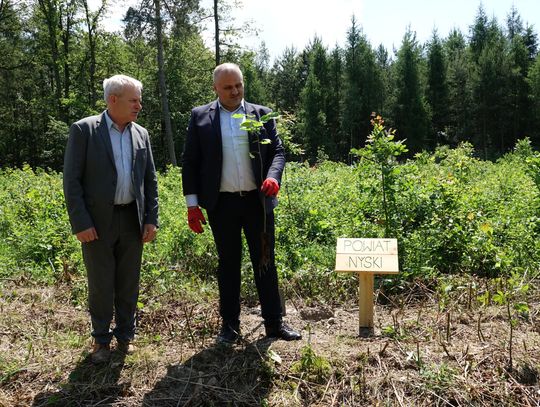 Samorządowa Aleja 100-lecia