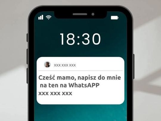 Oszust podszył się pod syna. Seniorka przekazała kody BLIK i straciła 6 tys. zł