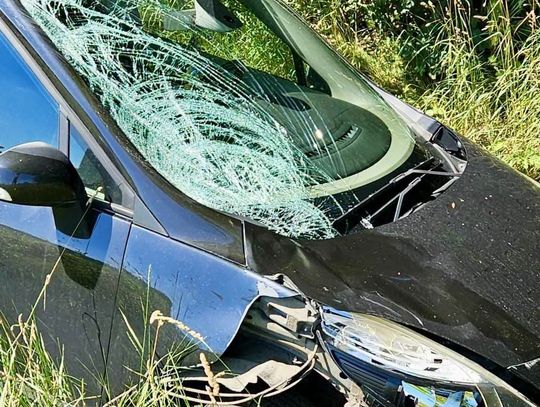 Śmiertelne potrącenie rowerzysty pod Nysą. 40-latek trafił do aresztu