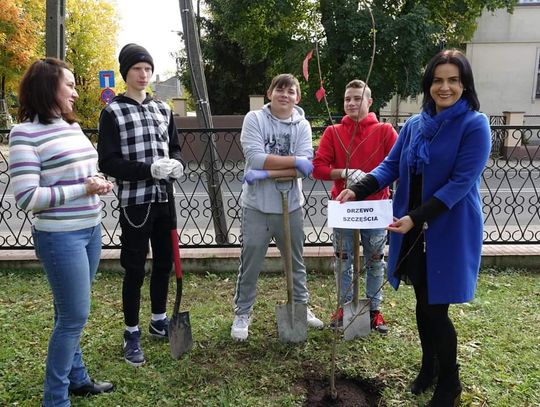 Starostwo znów sadzi drzewa. Kolejny etap akcji