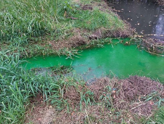 Tajemniczy kolor wody przy Kaczych Dołach. NEC wyjaśnia