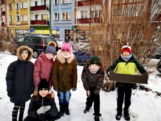 Uczniowie SP 1 w Nysie regularnie dokarmiają ptaki w szkolnych karmnikach