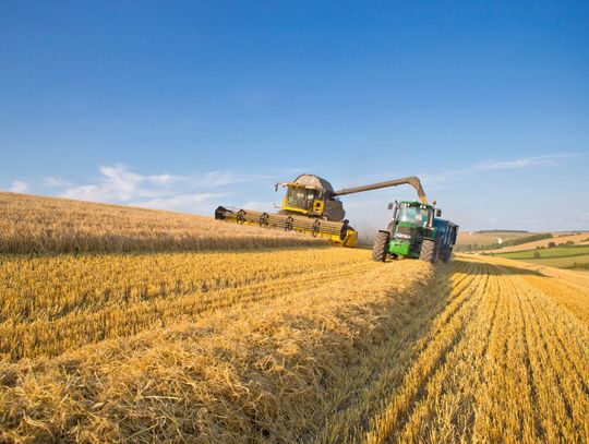 UE–Mercosur: posłowie chcą opinii prawnej o zgodności umowy z Traktatami UE