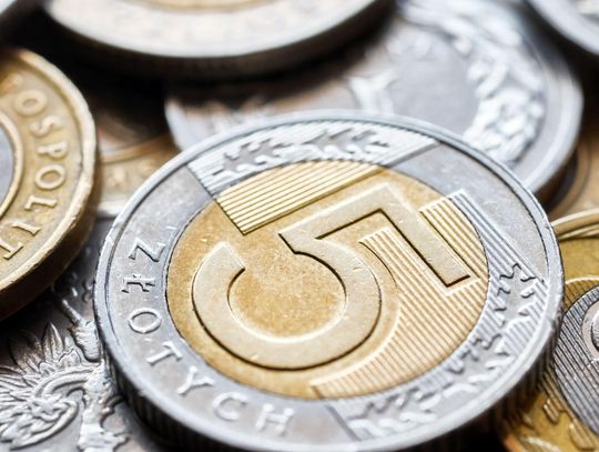 Umowy o dzieło – coraz rzadsze, krótsze i zgłaszane elektronicznie. Taki obraz wyłania się z raportu ZUS