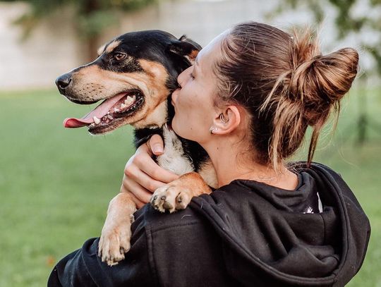 Urocze psiaki do adopcji! Kolejna świetna akcja w Schronisku