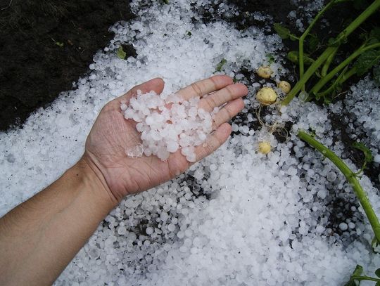 UWAGA! Znów silny deszcz i burze z gradem