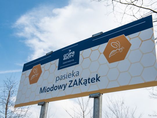 W pasiece „Miodowy ZAKątek” przyroda powoli budzi się do życia