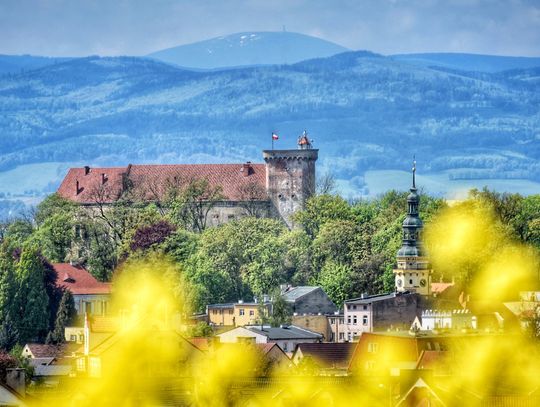 Zmiana organizacji ruchu na Lato Kwiatów!