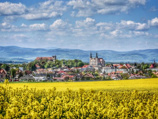 Znamy szczegółowy repertuar 50. Lata Kwiatów w Otmuchowie!