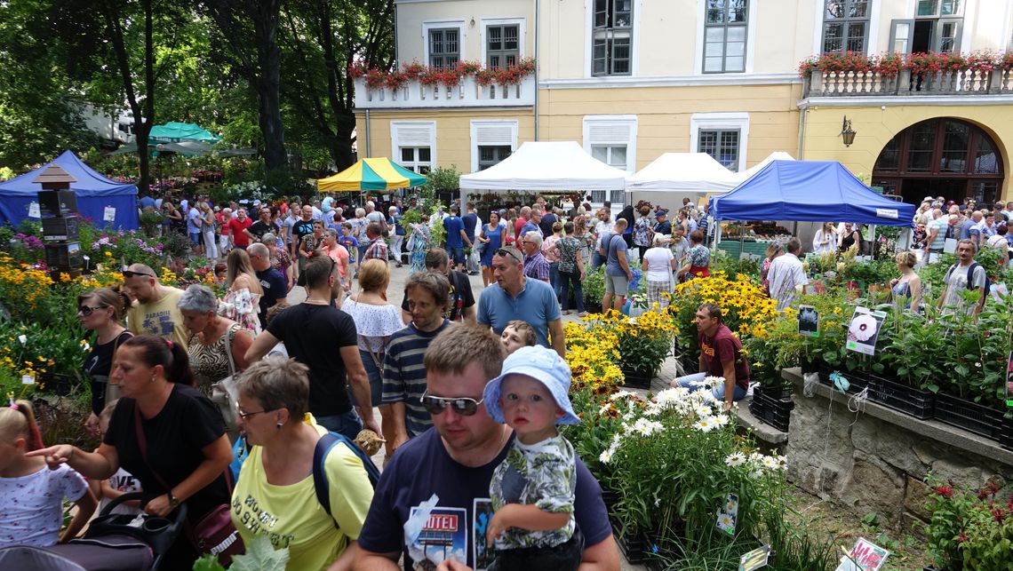 52. Lato Kwiatów już 2-6.07